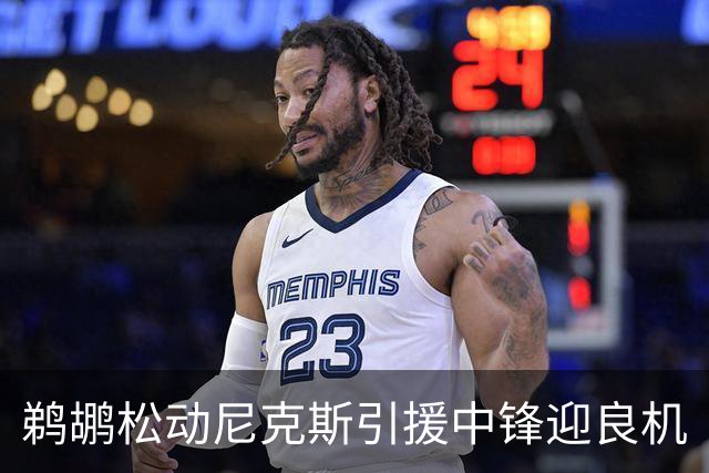 鹈鹕松动尼克斯引援中锋迎良机